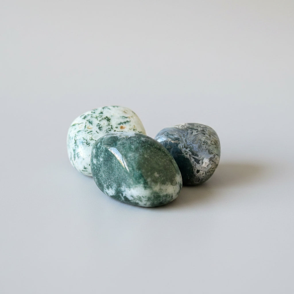 Tumbled Stones - Polished Natural Tree Agate