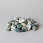 Tumbled Stones - Polished Natural Tree Agate