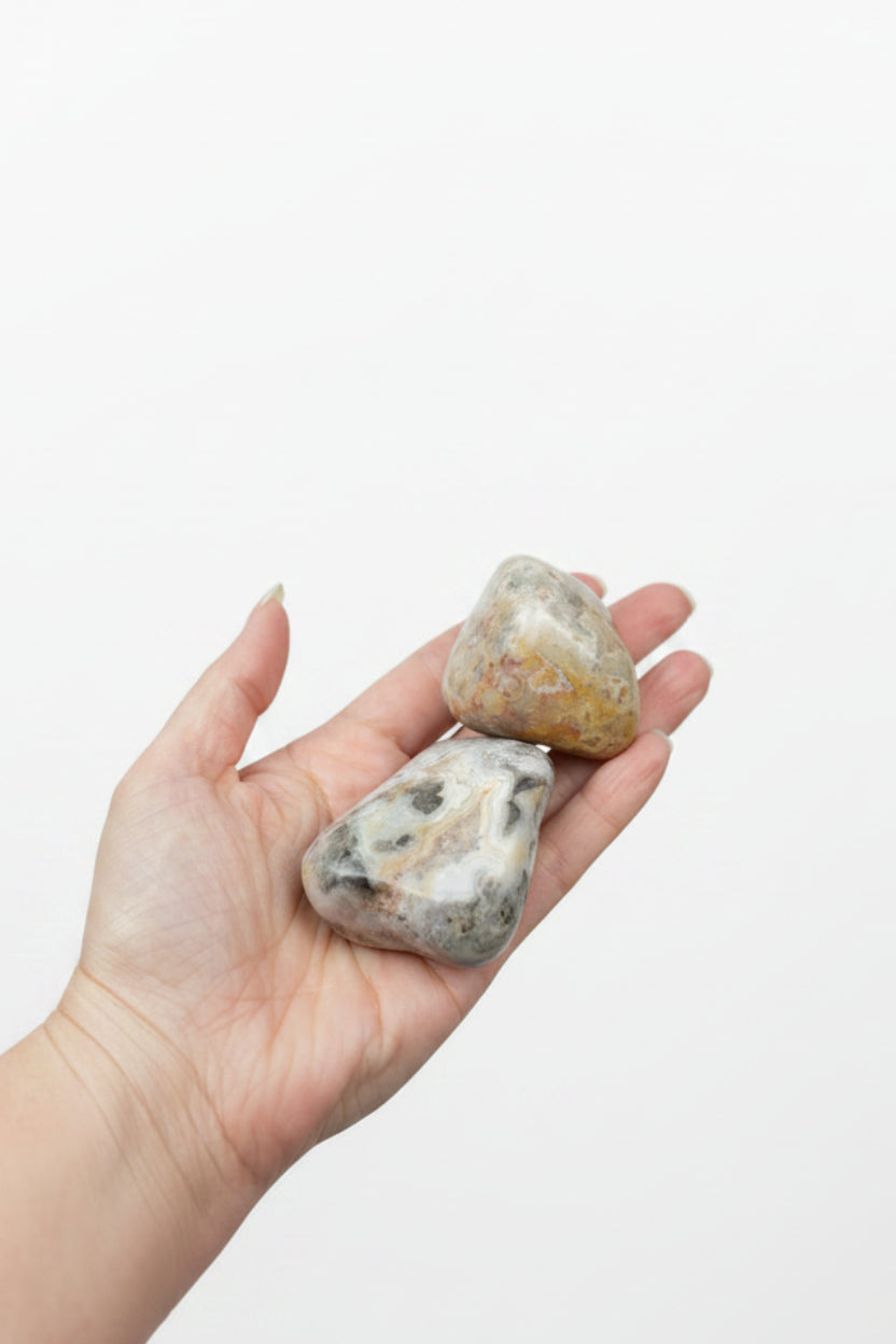 Tumbled Stone - Polished Crazy Lace Agate Large