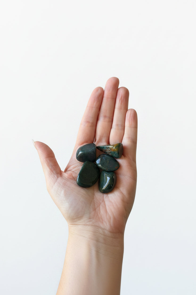 Polished Bloodstone Tumbled Gemstone Collection