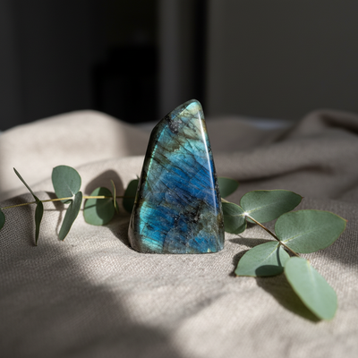 Rare & Singular Treasures