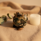 Ocean Jasper Heart Crystal Platypus - Social Media
