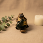 Ocean Jasper Heart Platypus - Social Media