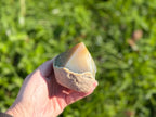 Treasured Energies agate crystal point with a polished top and natural raw base held in a hand outdoors.