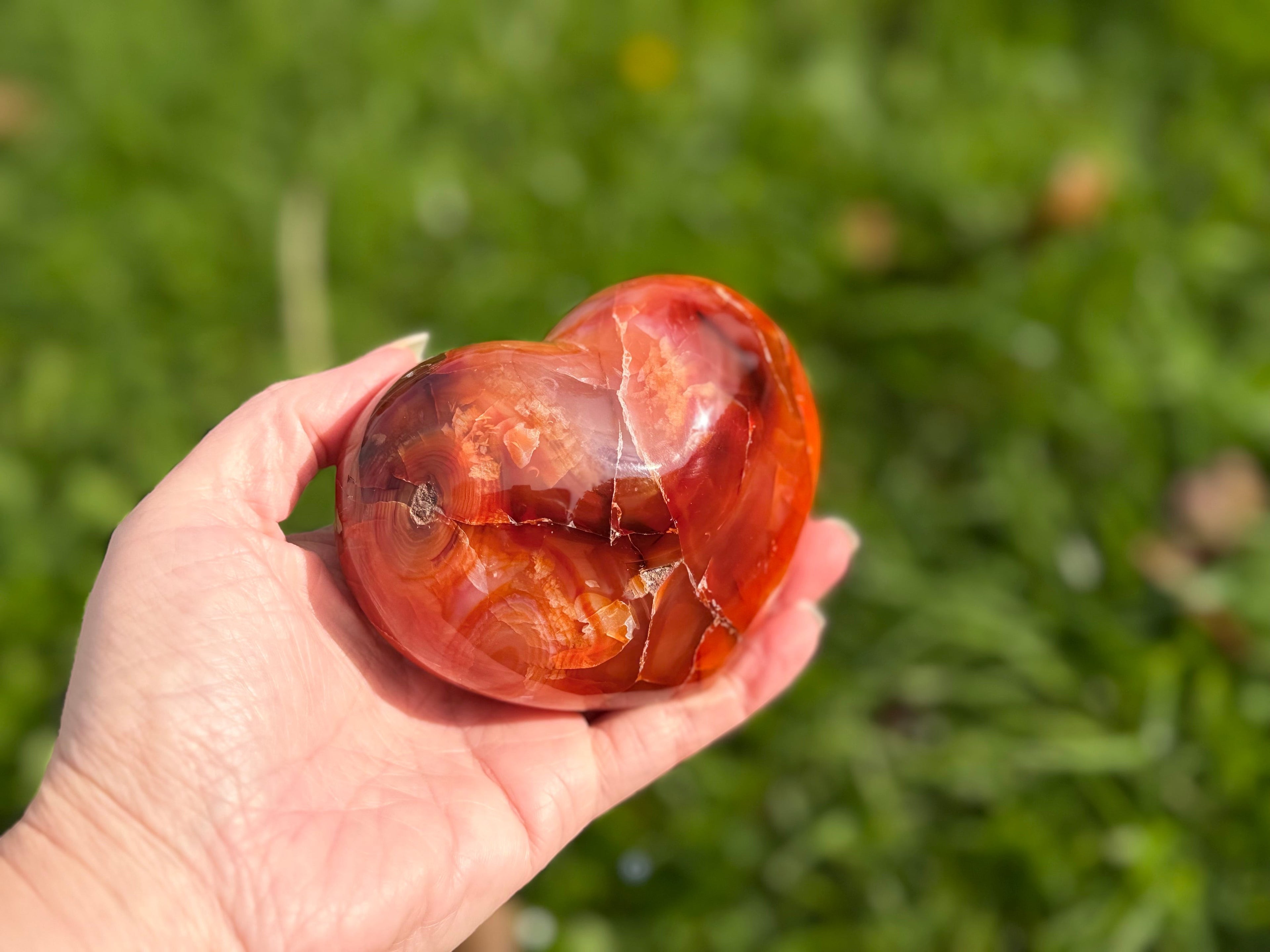 Treasured Energies large polished carnelian crystal heart held in a hand against a blurred green outdoor background