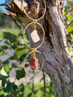 Treasured Energies 7 Chakra crystal window hanging with raw gemstones in gold circles hanging from a tree branch.