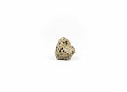 Treasured Energies polished Dalmatian Jasper tumbled stone with distinctive black spots on a beige background.