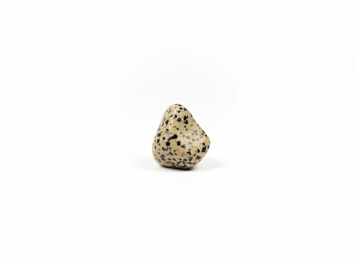 Treasured Energies polished Dalmatian Jasper tumbled stone with distinctive black spots on a beige background.