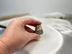 Treasured Energies tumbled Dalmatian Jasper crystal held in a hand against a soft white satin background.