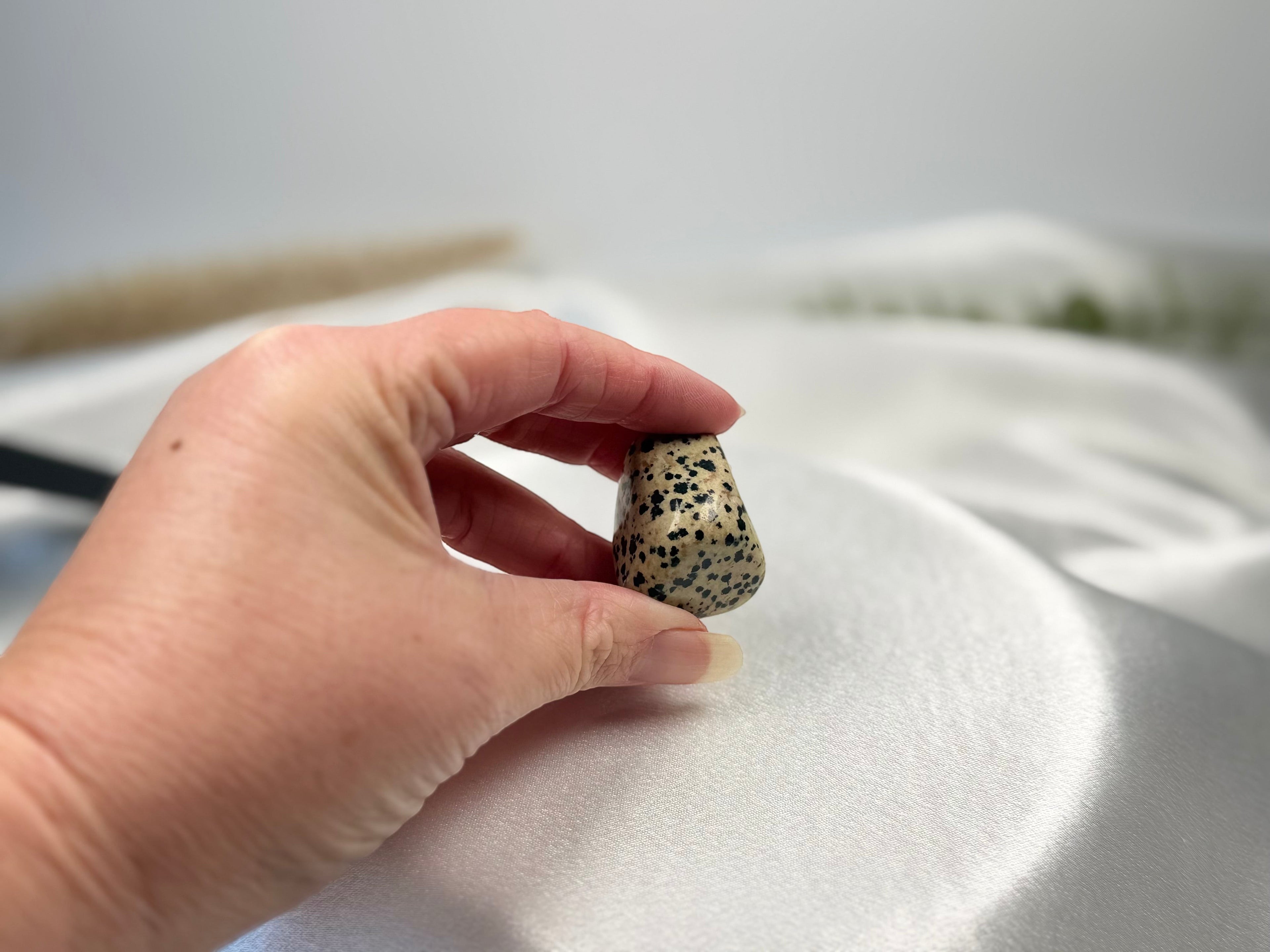 Treasured Energies tumbled Dalmatian Jasper crystal held in a hand against a soft white satin background.