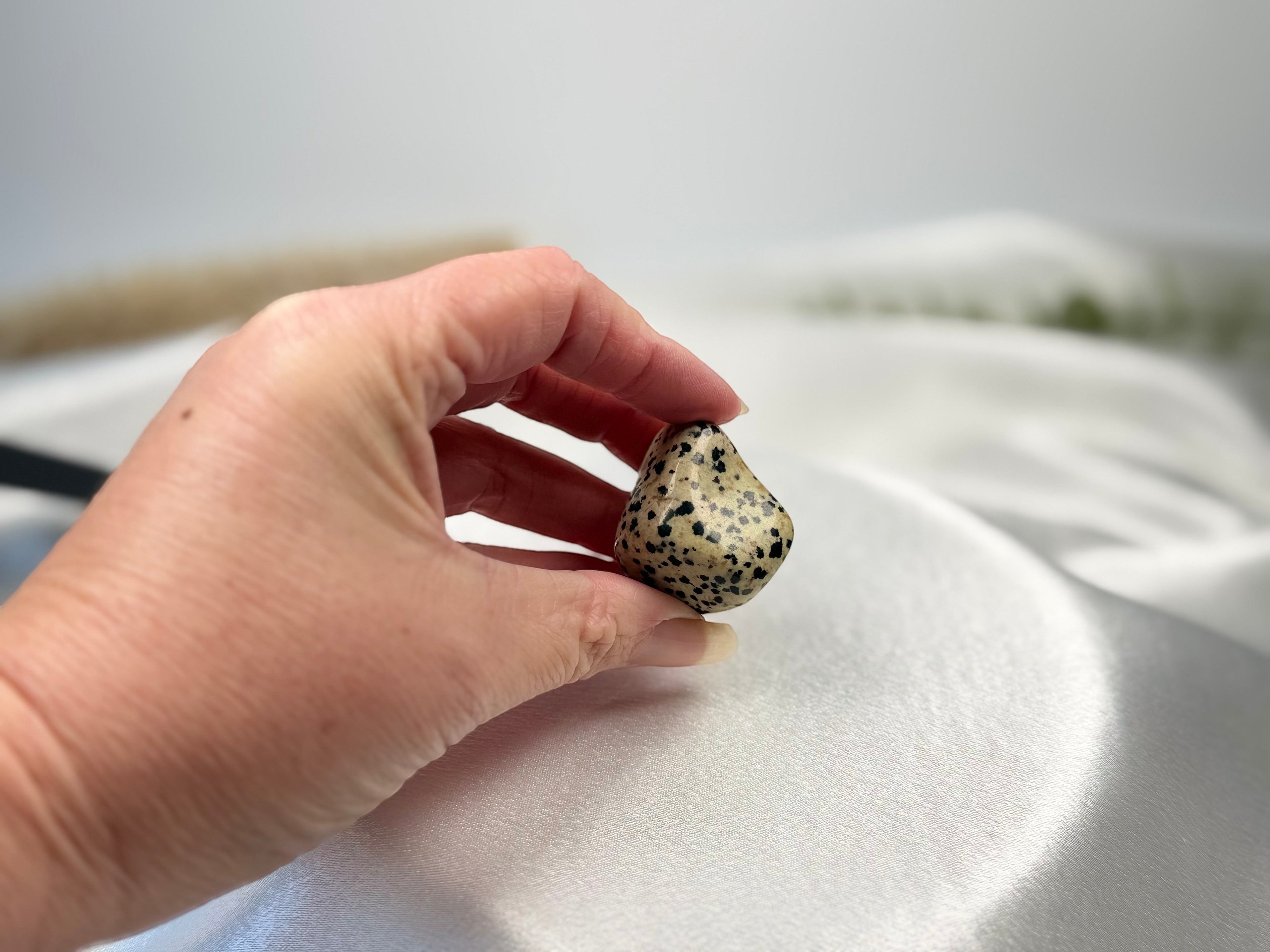 Treasured Energies polished Dalmatian Jasper tumbled stone held in a hand against a soft white satin background