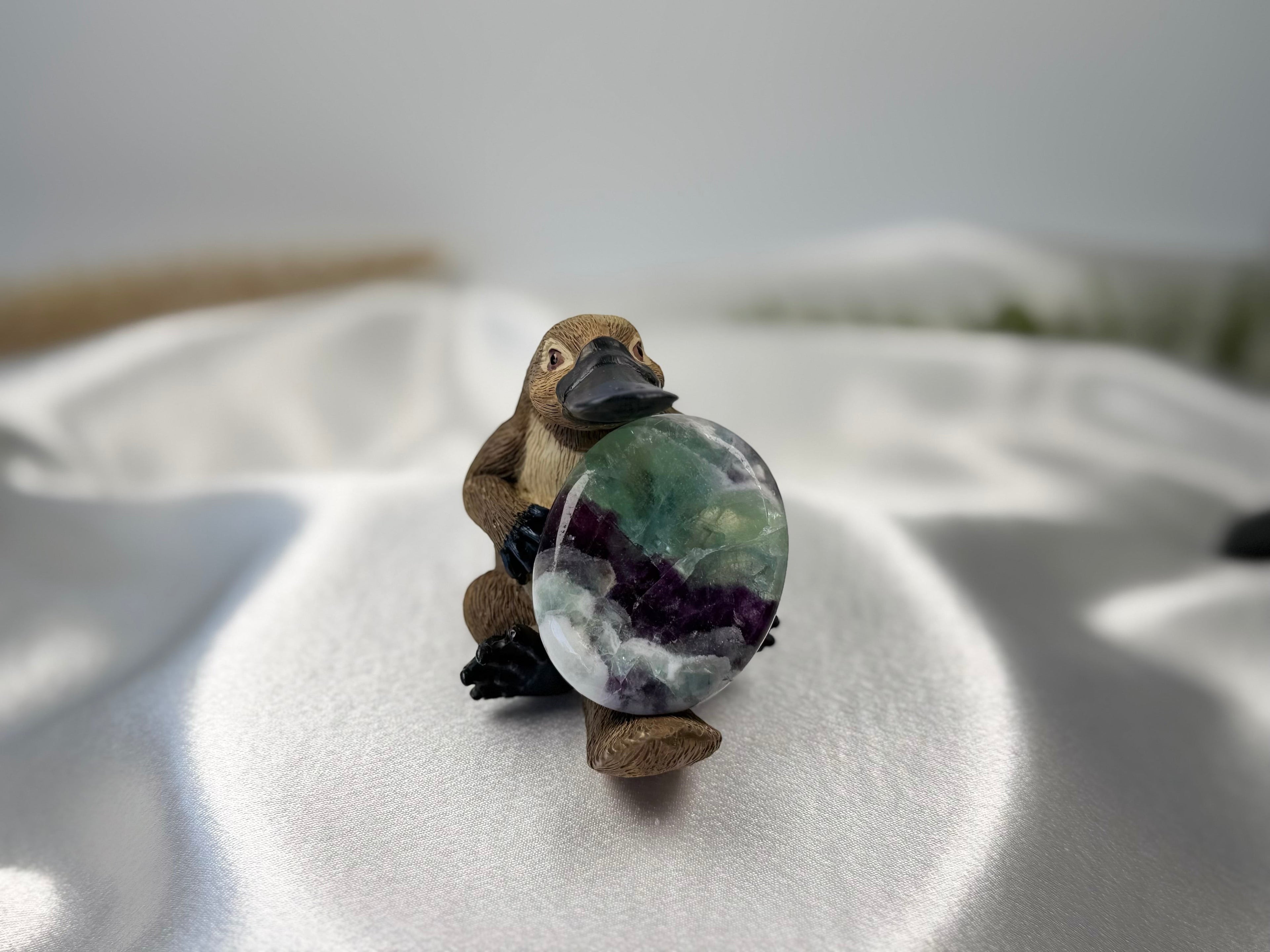 Treasured Energies fluorite worry stone with purple and green bands held by a small platypus figurine on white silk.