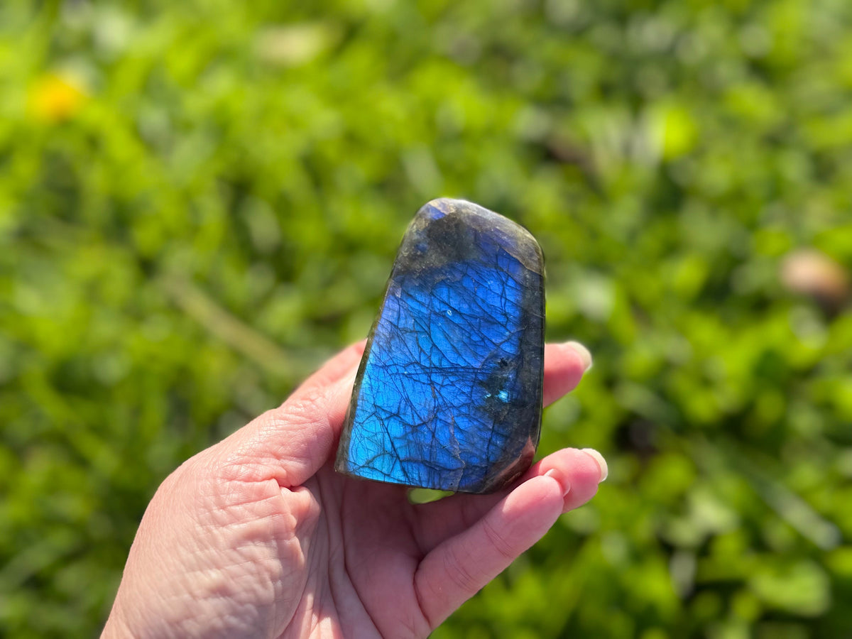 Treasured Energies polished labradorite freeform crystal held in a hand, showing vibrant blue labradorescence.