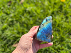 Treasured Energies large polished labradorite freeform crystal held in a hand against a green grass background
