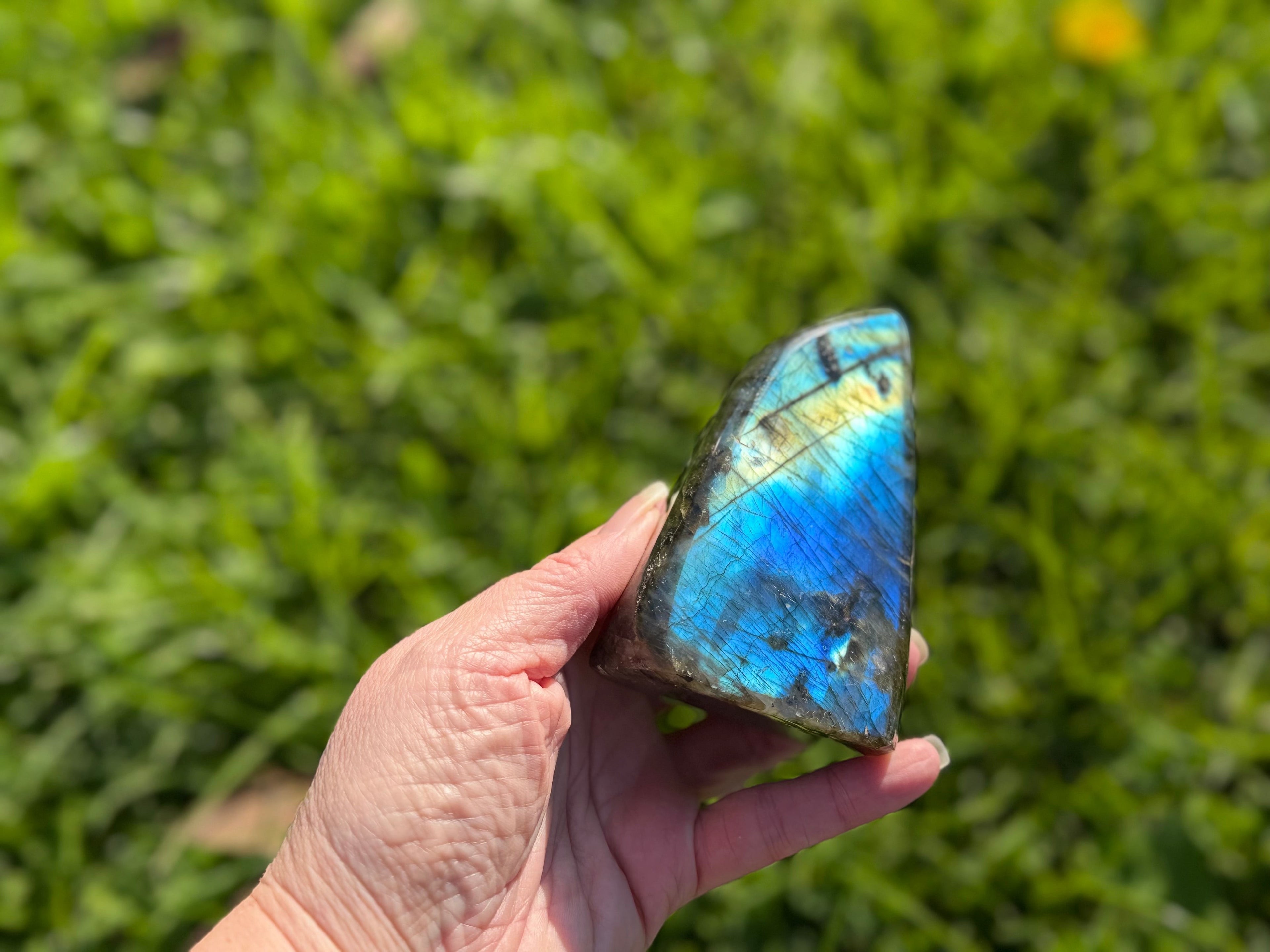 Treasured Energies large polished labradorite freeform crystal held in hand showing vibrant blue and gold flash