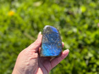 Treasured Energies hand-polished labradorite freeform crystal showing vibrant blue labradorescence against green grass