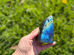 Treasured Energies large labradorite freeform crystal held in hand, showing vibrant blue labradorescence in sunlight.