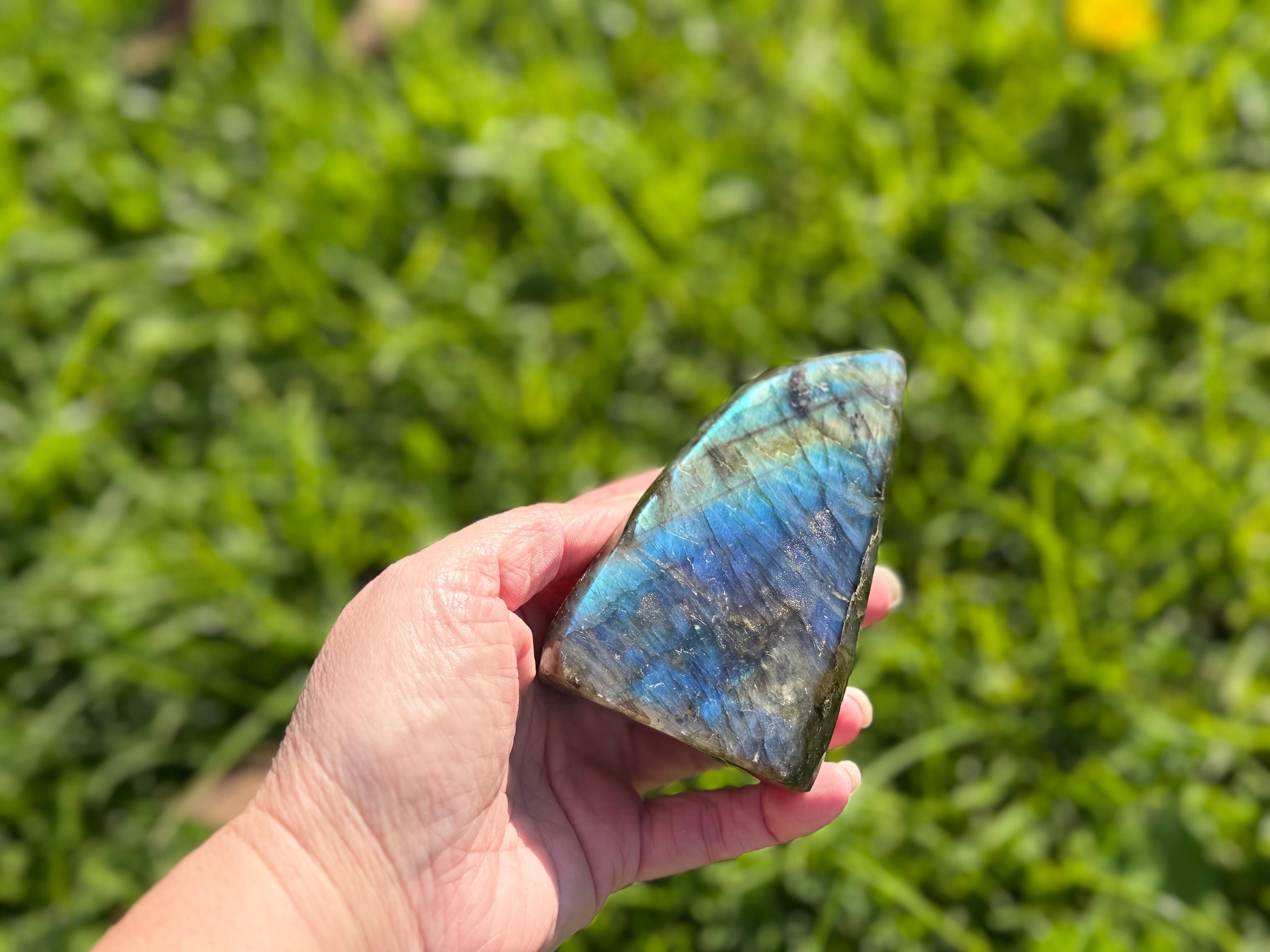 Treasured Energies large labradorite freeform crystal held in hand showing vibrant blue and gold labradorescence