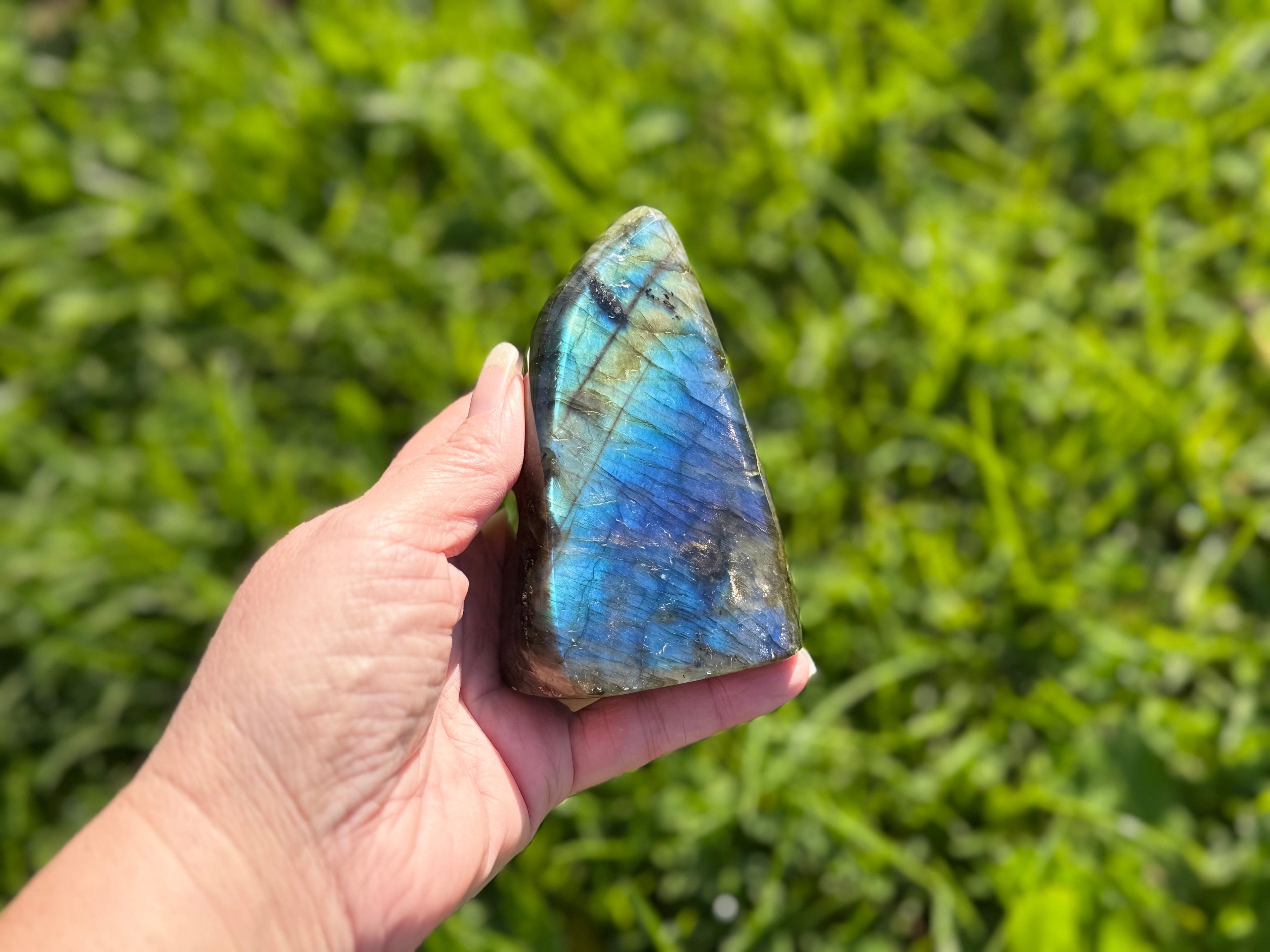 Treasured Energies large Labradorite freeform crystal held in hand, showing vibrant blue labradorescence in sunlight.