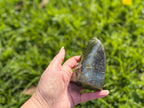 Treasured Energies large Labradorite freeform crystal held in a hand, showing blue labradorescence against green grass.