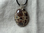 Treasured Energies polished poppy Jasper oval pendant with brown and cream spots on a black cord necklace