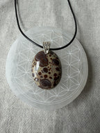Treasured Energies polished Poppy Jasper pendant with brown and cream spots on a black cord necklace