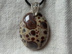 Treasured Energies polished oval poppy Jasper pendant with brown and cream spots on a black cord necklace