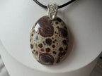Treasured Energies polished oval Poppy Jasper pendant with brown and cream spots on a black cord necklace.