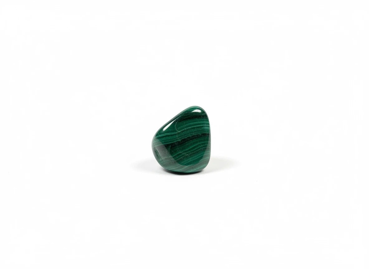 Treasured Energies high grade polished malachite tumbled stone with deep green banding on a white background