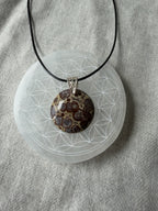 Treasured Energies orbicular poppy jasper pendant with brown and tan spots on a silver bail and black cord on a crystal disc