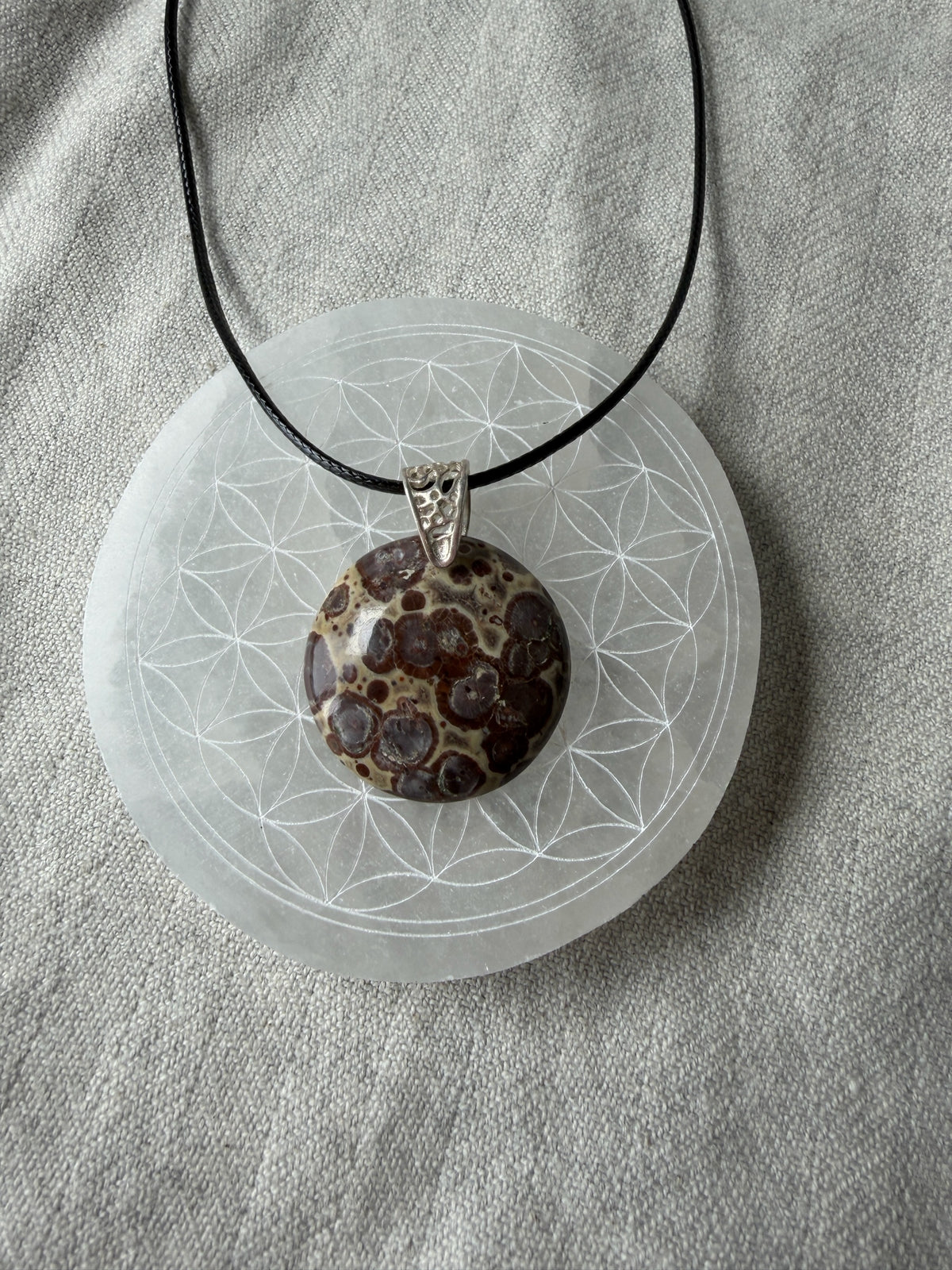 Treasured Energies orbicular poppy jasper pendant with brown and tan spots on a silver bail and black cord on a crystal disc