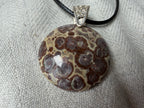 Treasured Energies polished orbicular poppy jasper pendant with brown and tan circular patterns on a black cord necklace.