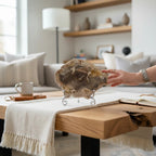 Treasured Energies polished petrified wood display specimen on a silver stand, placed on a wooden coffee table.