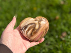 Treasured Energies polished petrified wood heart held in a hand against a blurred green garden background