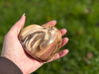 Treasured Energies polished petrified wood heart held in a hand against a soft green outdoor background.
