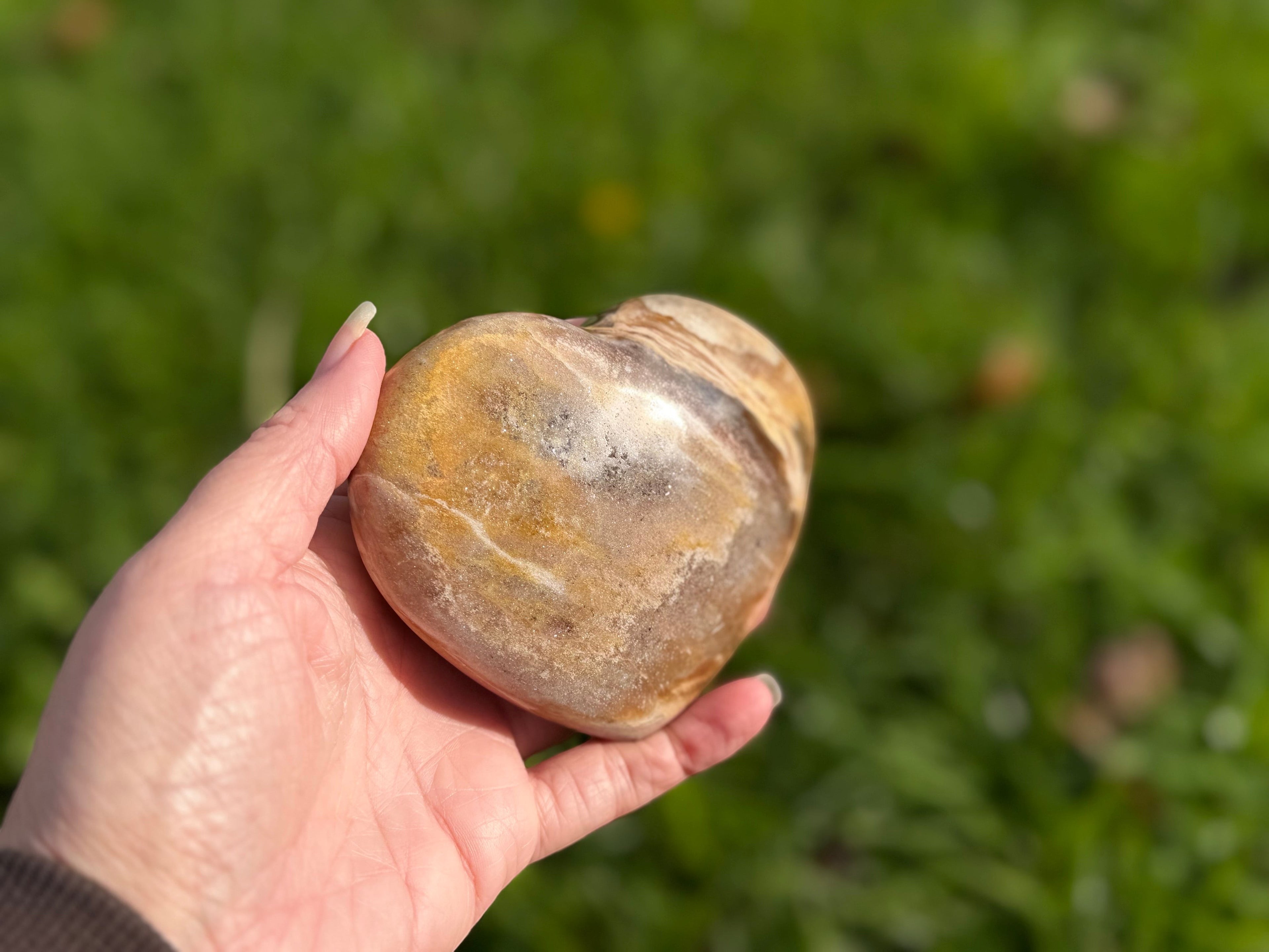 Treasured Energies polished petrified wood heart held in a hand against a blurred green outdoor background