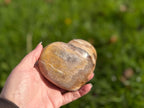 Treasured Energies polished petrified wood heart held in a hand against a blurred green outdoor background