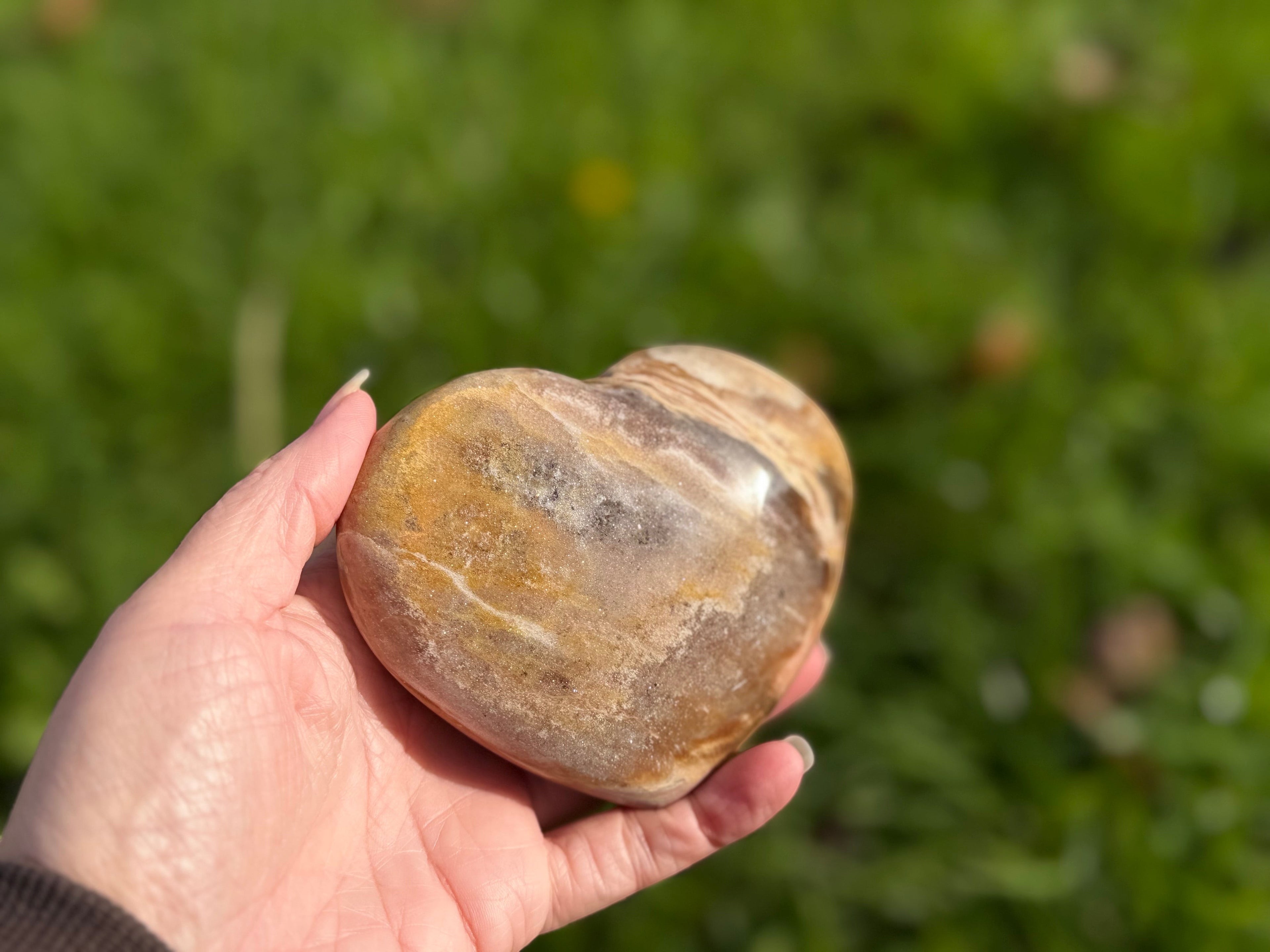 Treasured Energies polished petrified wood heart held in a hand against a blurred green outdoor background