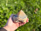 Treasured Energies polished agate crystal point held in hand against a blurred green outdoor background.