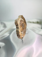 Treasured Energies polished petrified wood specimen on a display stand, showing natural wood grain and earthy tones.