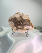 Treasured Energies polished petrified wood specimen on a silver display stand, showing natural wood grain patterns.