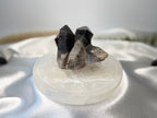 Treasured Energies 14cm round white selenite charging plate with intricate celestial engraving holding a dark crystal