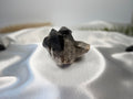 Treasured Energies raw smoky quartz crystal cluster with deep brown and grey tones on a white satin background.