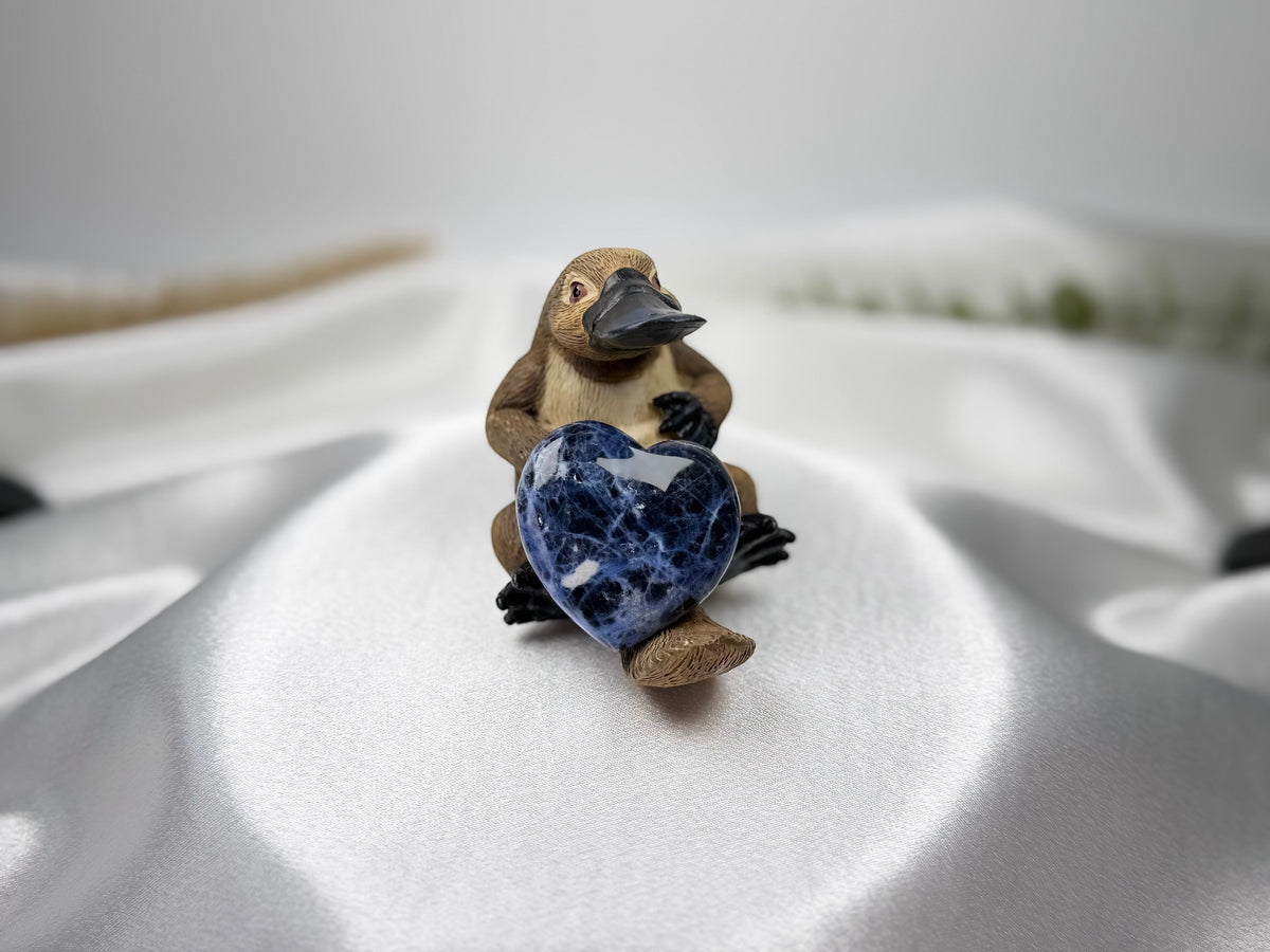 Treasured Energies polished blue sodalite crystal heart held by a small platypus figurine on white satin fabric.