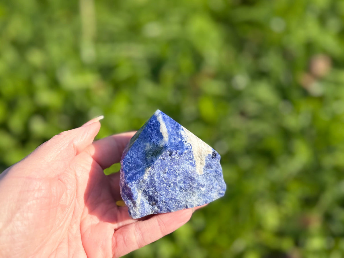 Treasured Energies Sodalite crystal point with a polished top and raw base held in a hand against a green background.