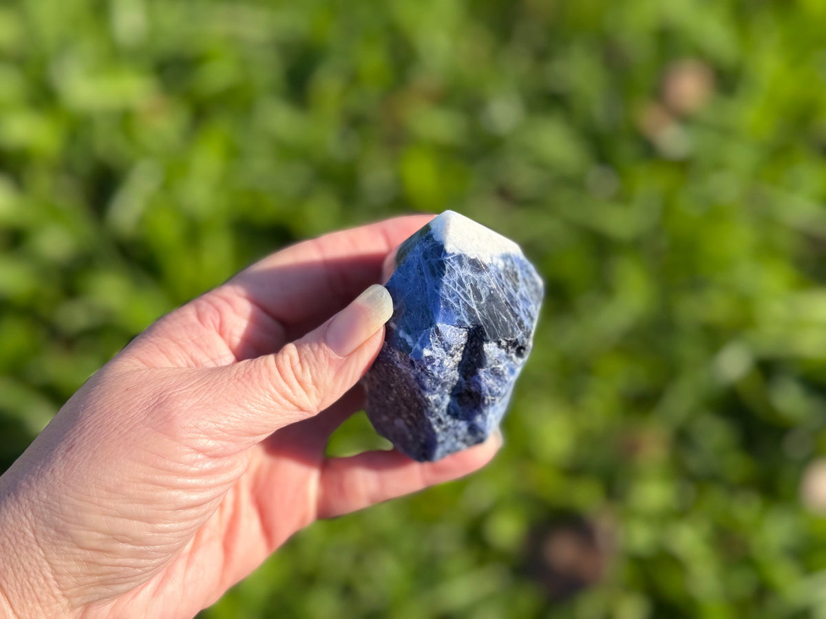 Treasured Energies sodalite crystal point with a polished tip and raw base held in a hand against a green background