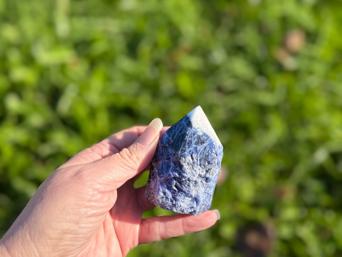 Treasured Energies sodalite crystal tower with a polished point and raw base held in a hand outdoors.