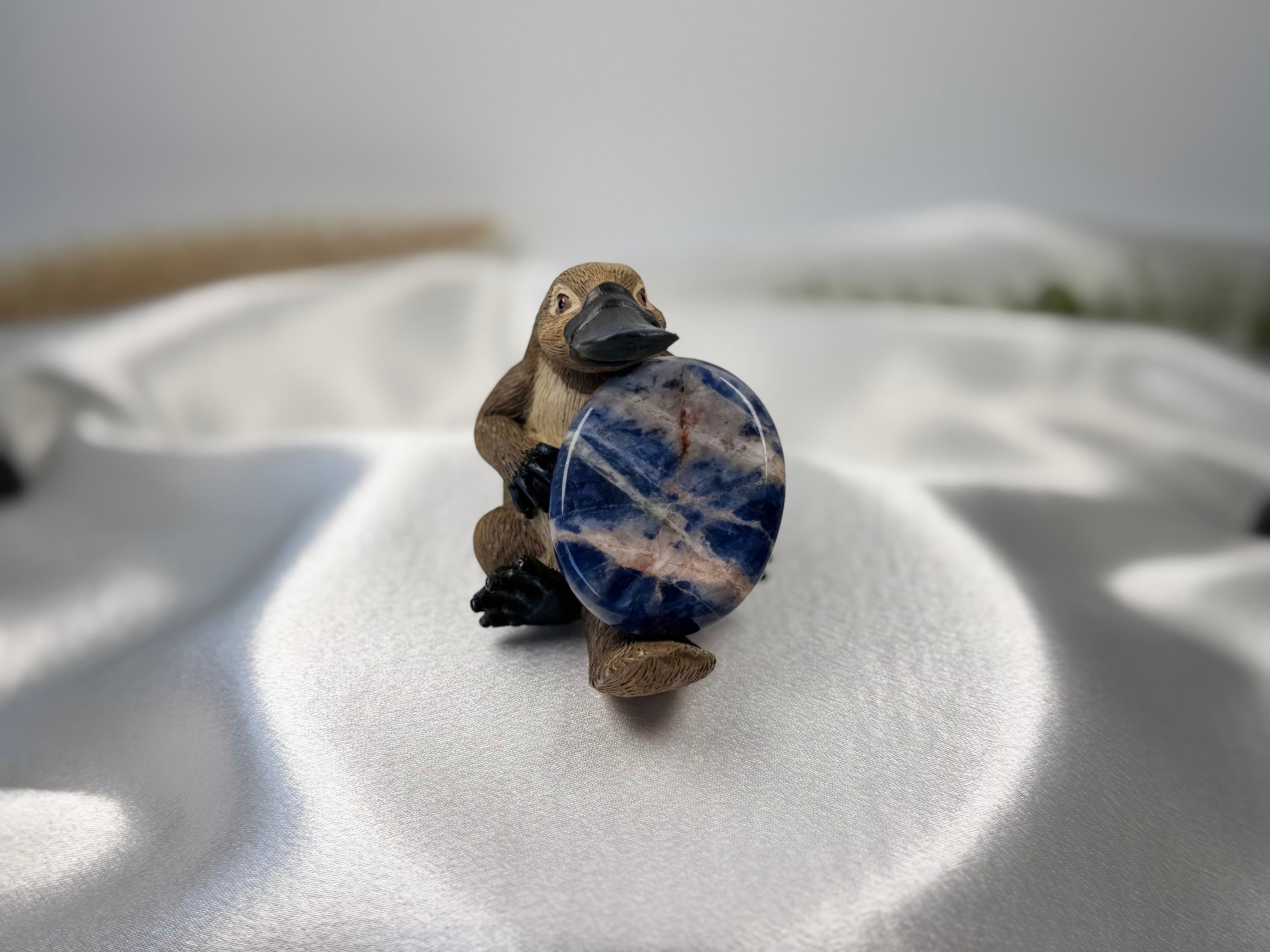 Treasured Energies Sodalite worry stone with white calcite veins held by a small platypus figurine on white satin.